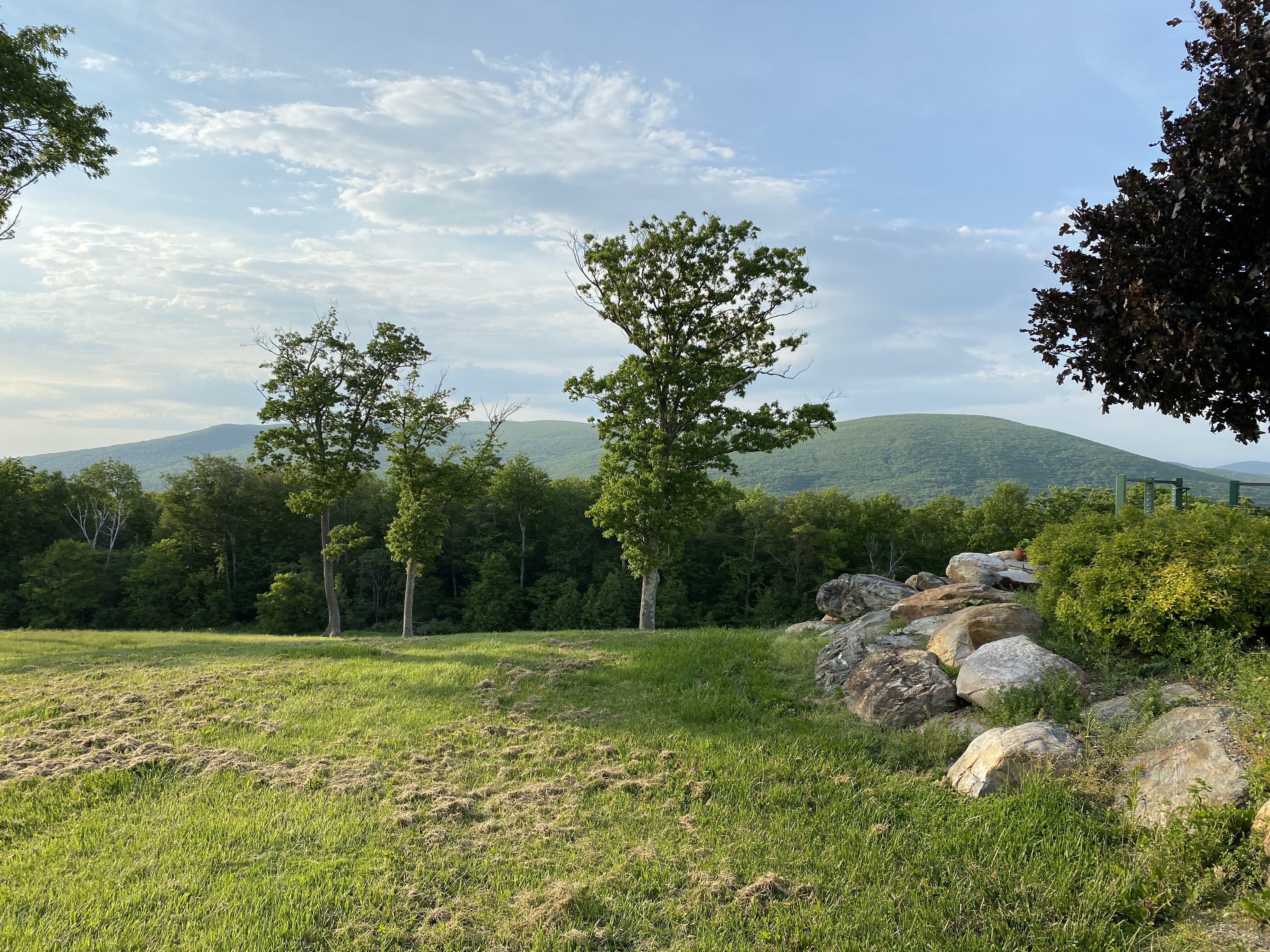 Fieldstone boulders with Mount Greylock beyond