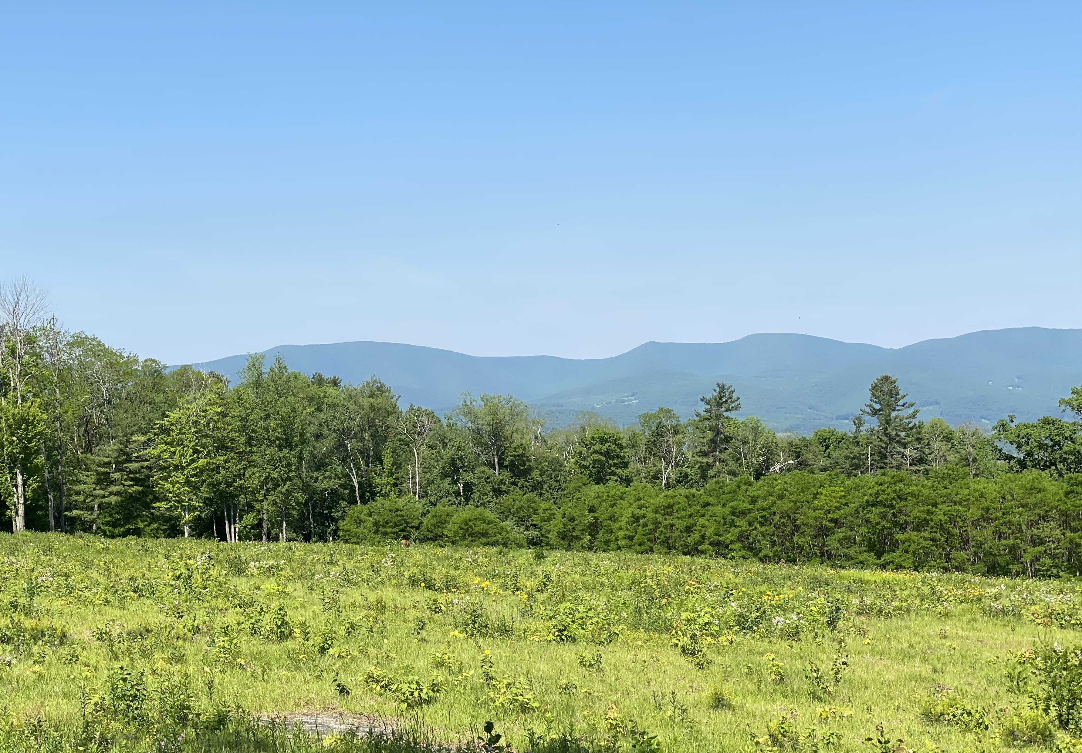 Berkshire range from the 976 Notch site